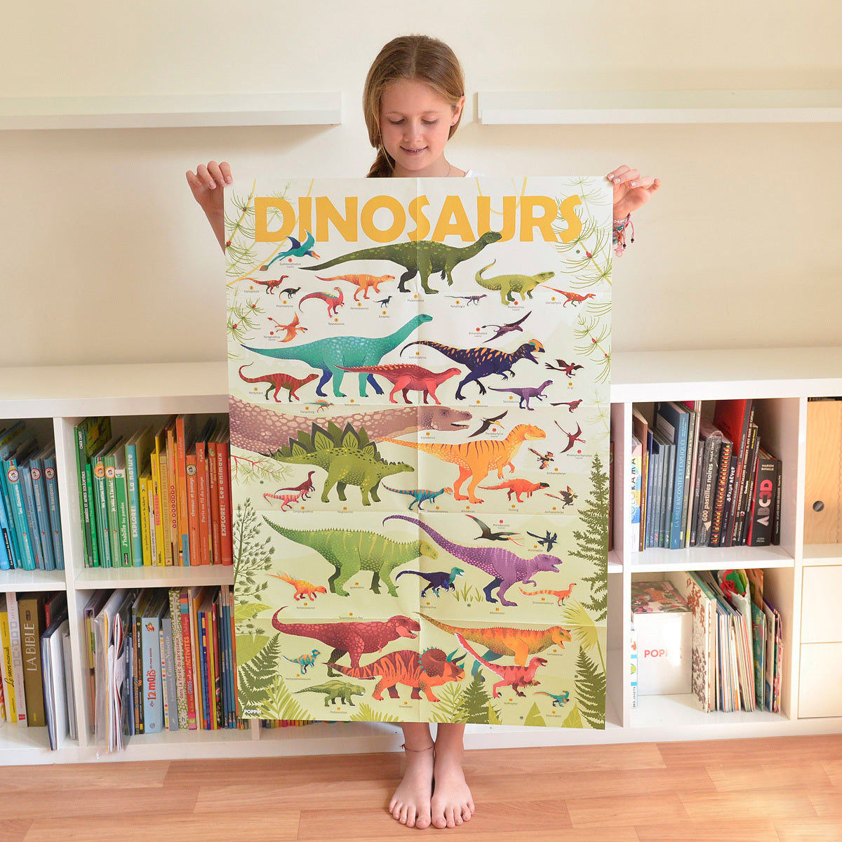 Discovery Poster - Dinosaurs