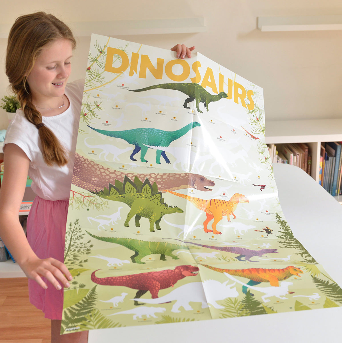 Discovery Poster - Dinosaurs