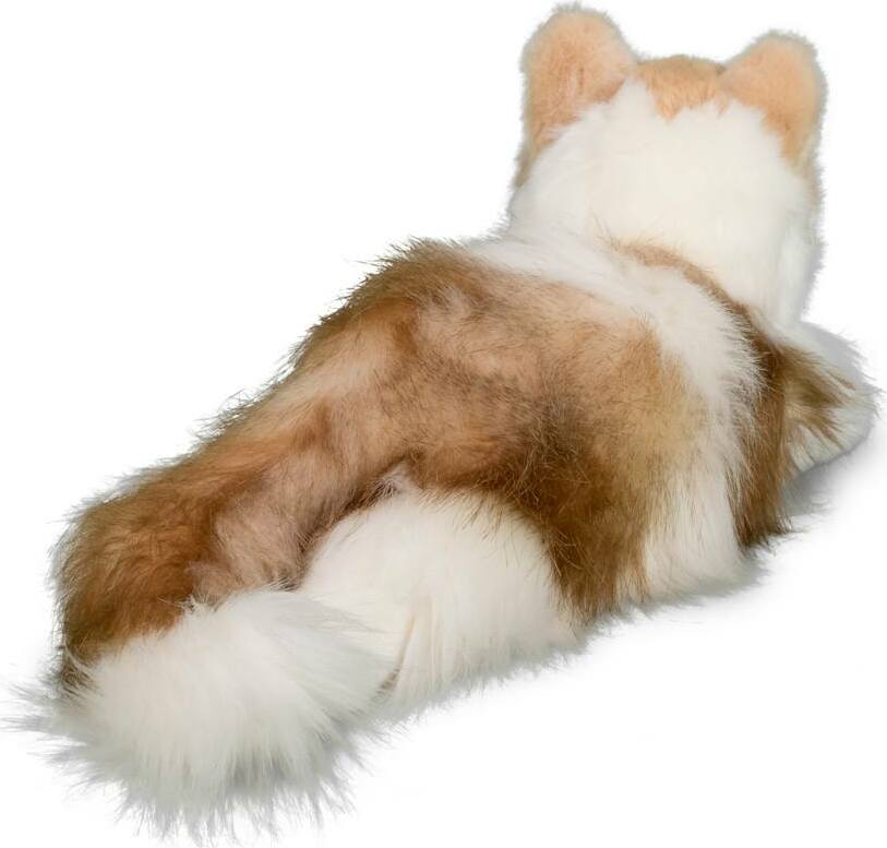 Kiki Ragdoll Cat
