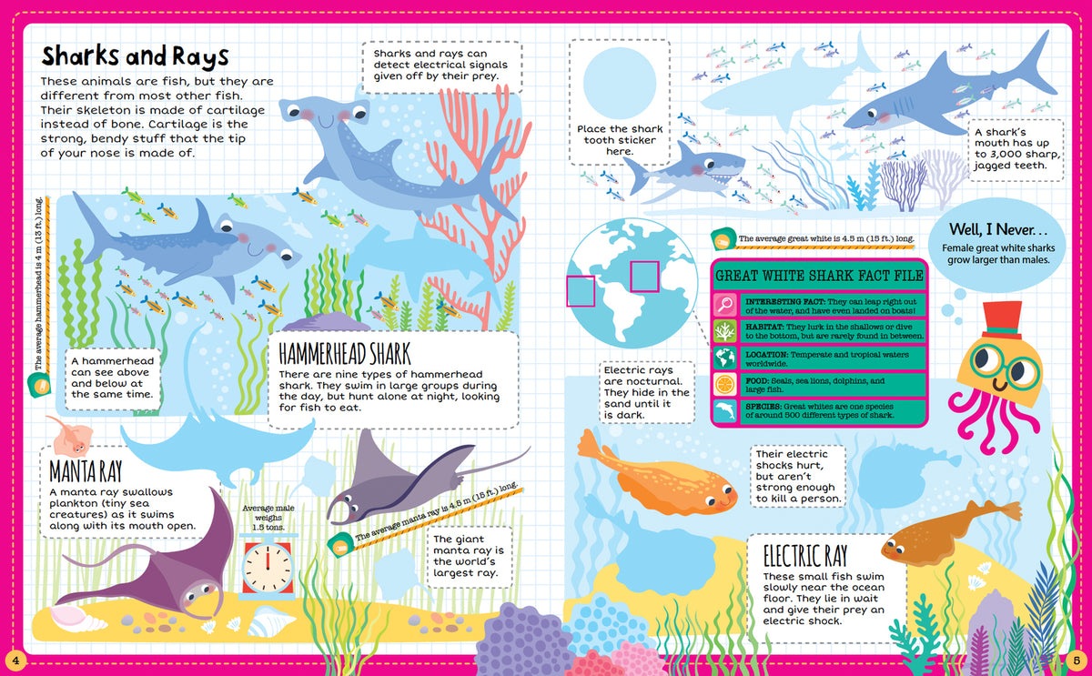 Ocean, Sticker Facts
