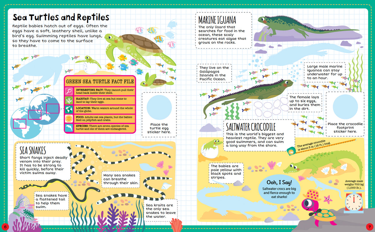 Ocean, Sticker Facts