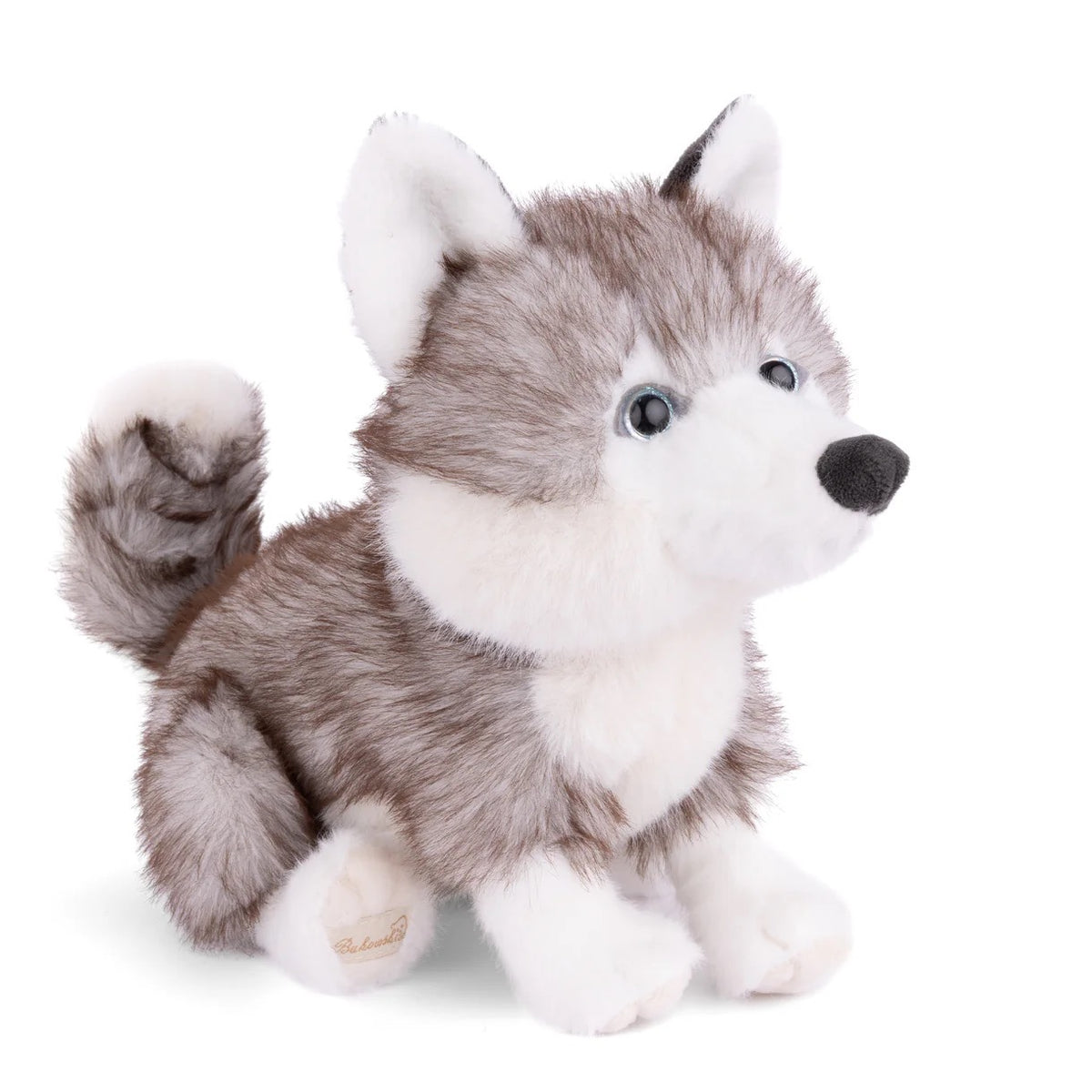 Bukowski Bears, Sweet Husky 25034