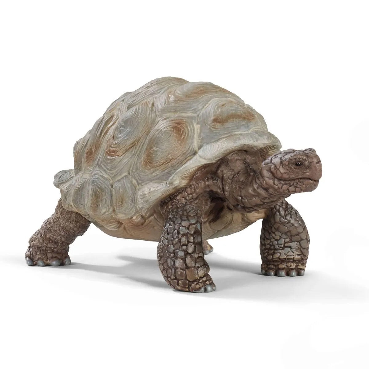Schleich, Giant Tortoise 14824