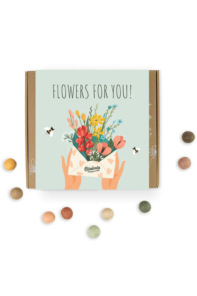 Buzzy Seeds, Blossombs Medium Box: Flowers For You 102029