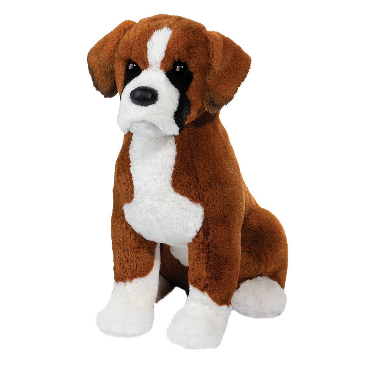 Douglas, Chance Boxer 2426