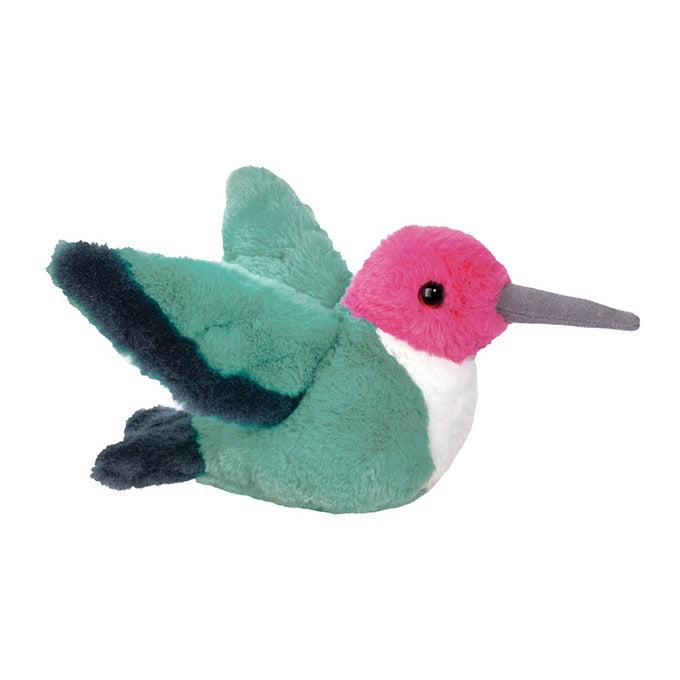 Douglas, Twirlie Hummingbird 4591