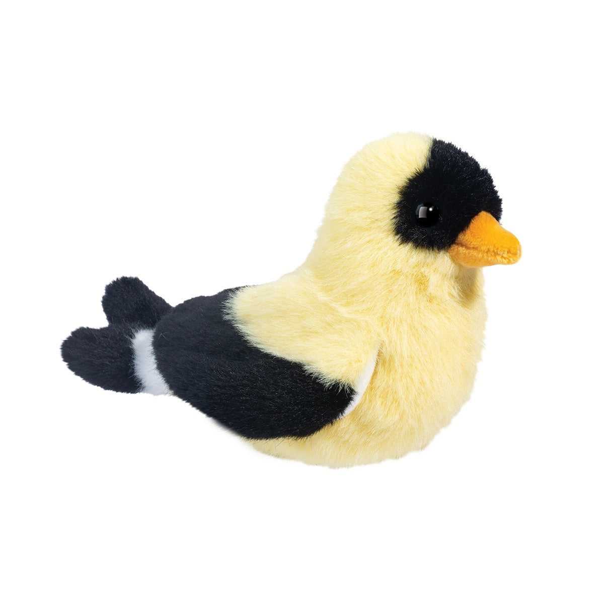 Douglas, Faye Goldfinch 1572
