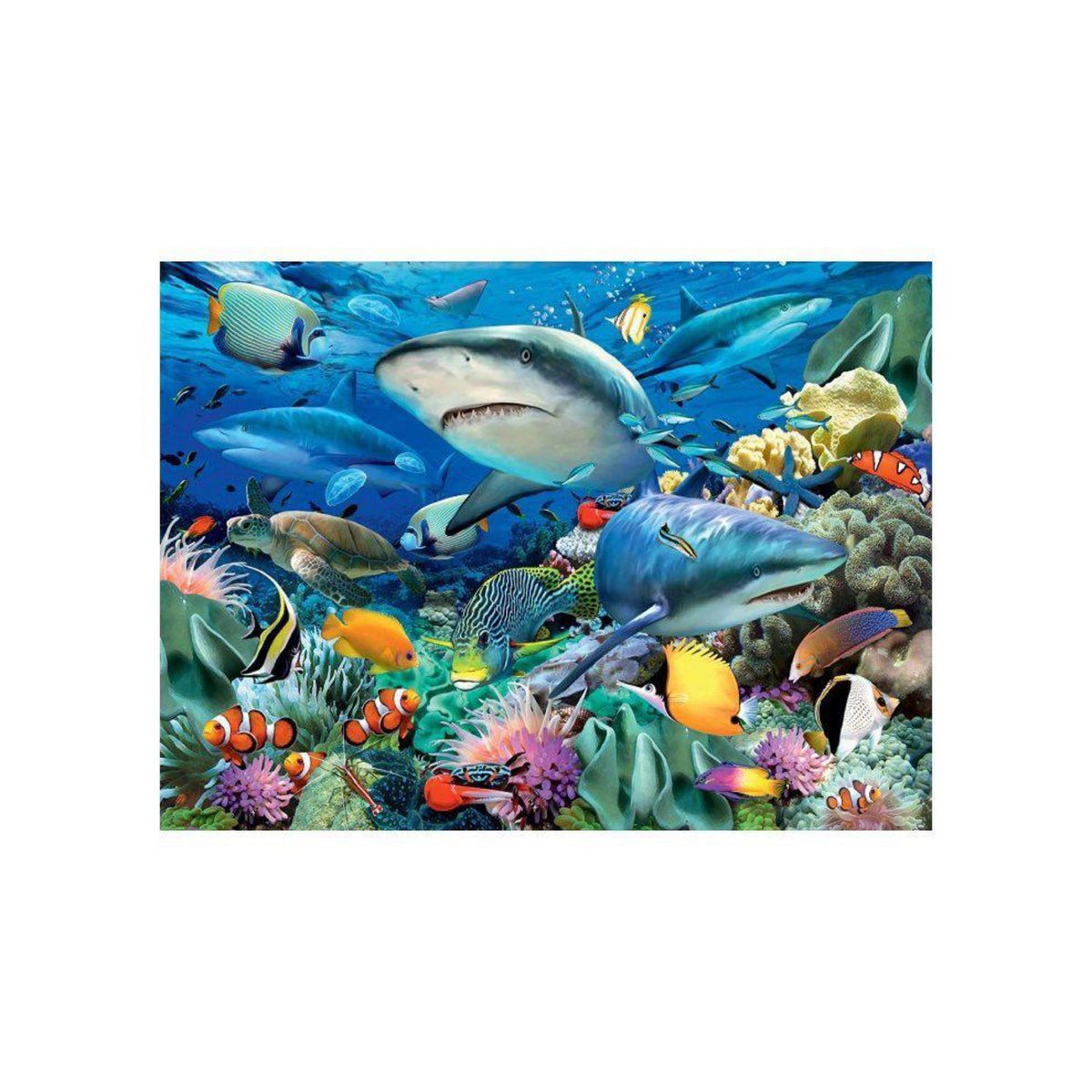 Ravensburger, Shark Reef Puzzle 100pc 10951