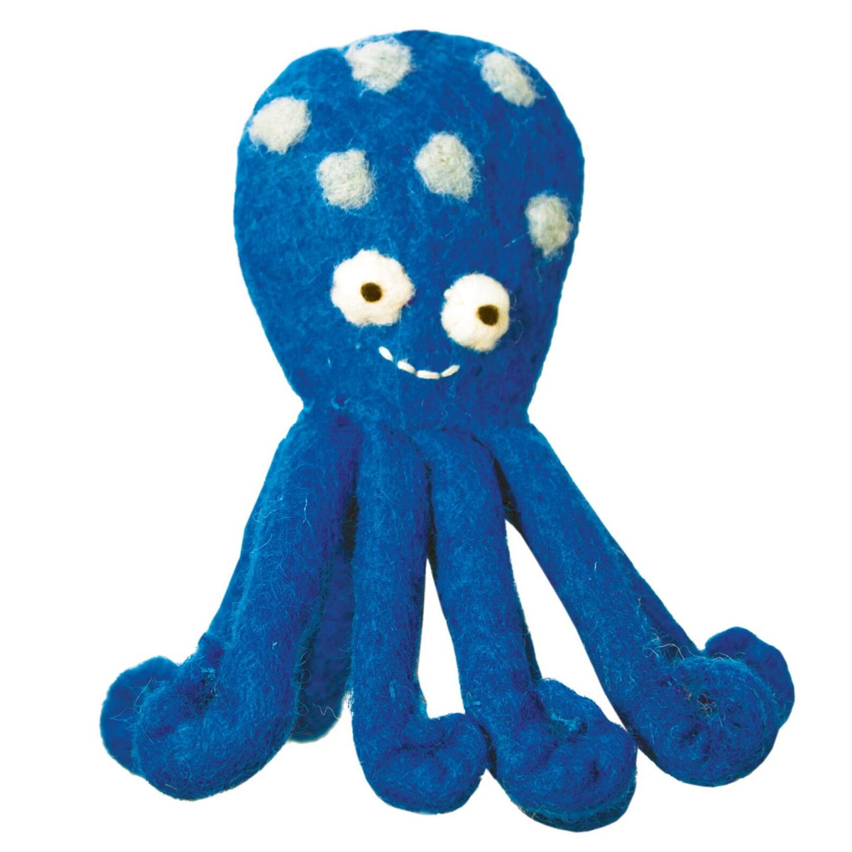 Wild Woolies, Coastal Critters: Octopus