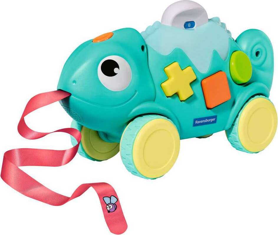 Color & Shape Sorter: Chameleon*