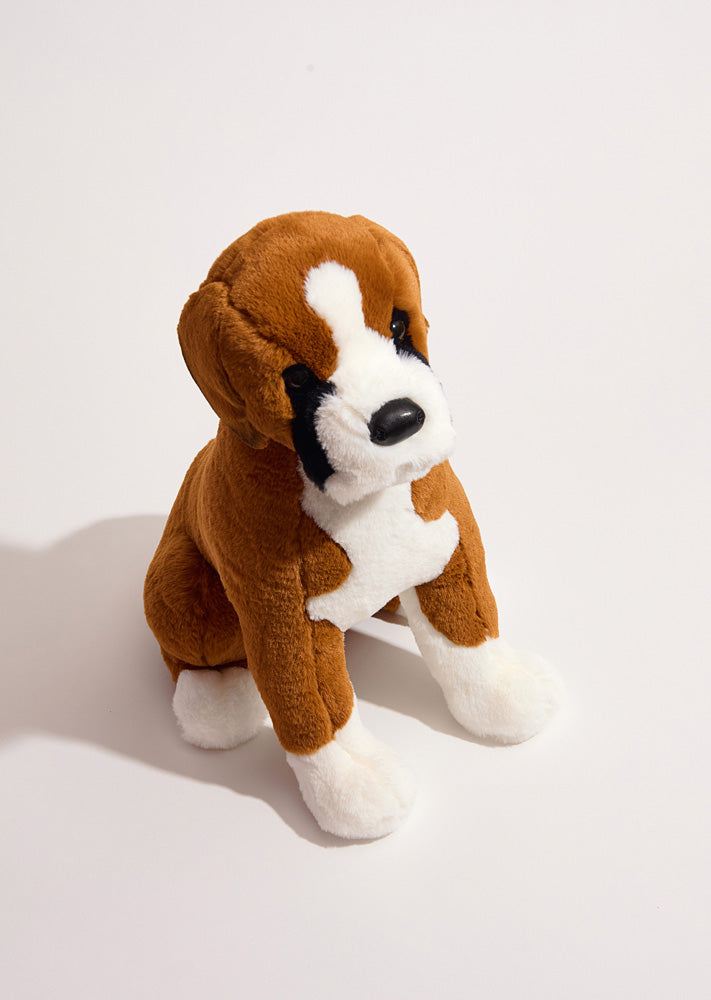 DLux Chance Boxer