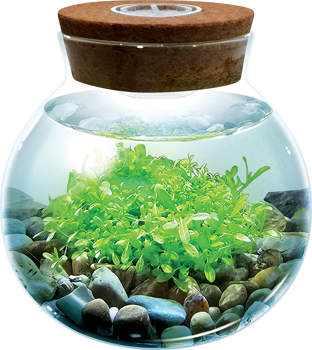 WaterPlants - Create Your Own Aquascape