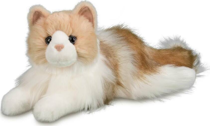 Kiki Ragdoll Cat