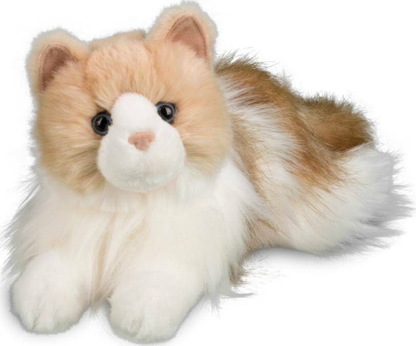 Kiki Ragdoll Cat