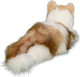 Kiki Ragdoll Cat