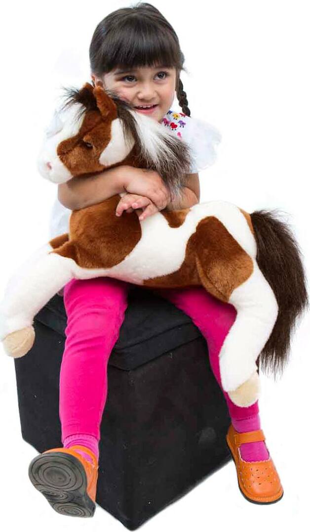 Natches Paint Horse