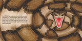 Lifesize Deadly Animals
