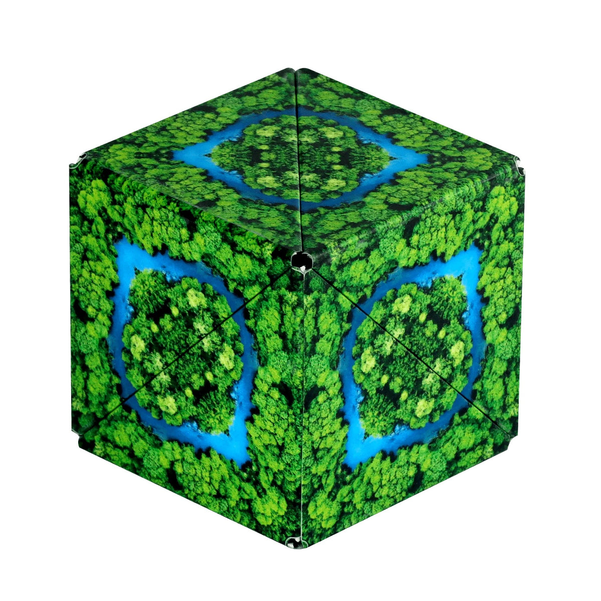 Fun in Motion, Shashibo: Jungle SHA27JG