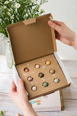 Buzzy Seeds, Blossombs Medium Box: Flowers For You 102029