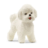Schleich, Bichon Frise 13963