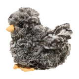 Douglas, Black Multi Chick 1515