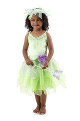 Little Adventures, Tinkerbell Dress 3-5yrs 13132