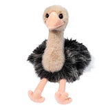 Douglas, Omar Ostrich 265