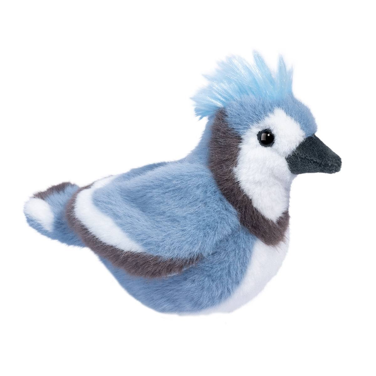 Douglas, Denim Blue Jay 1574