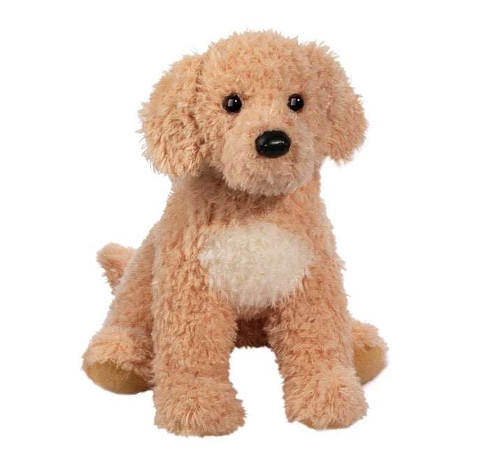 Douglas, Noodle Goldendoodle - Small 2000