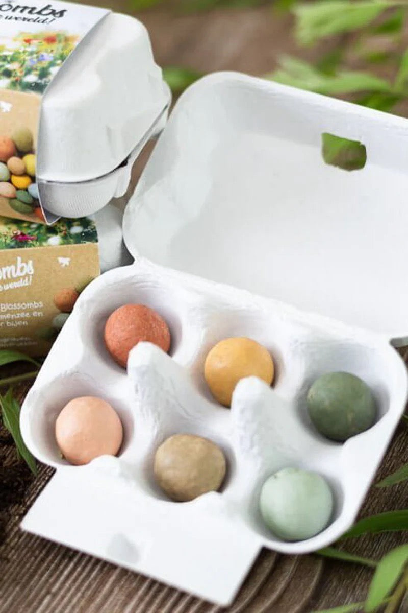 Buzzy Seeds, Blossombs Egg Box: It's Spring 102024
