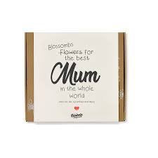 Buzzy Seeds, Blossombs Medium Box: Flowers For Mum 102030