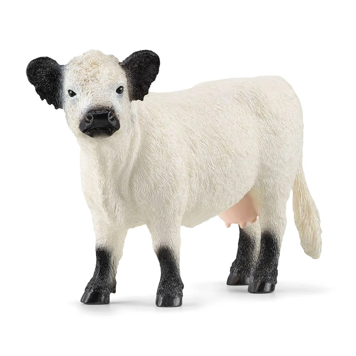 Schleich, Galloway Cow White 13960