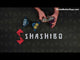 Fun in Motion, Shashibo: Confetti SHA09CF