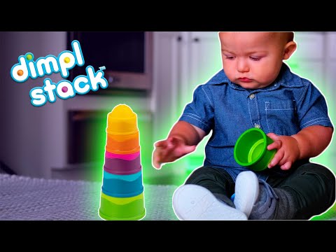 Fat Brain, Dimpl Stack FA293-1