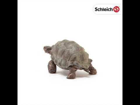 Schleich, Giant Tortoise 14824