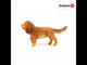 Schleich, English Cocker Spaniel 13896