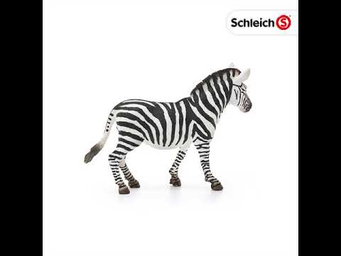 Schleich, Zebra Female 14810