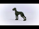 Schleich, Great Dane 13962