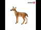 Schleich, White-Tailed Doe 14819