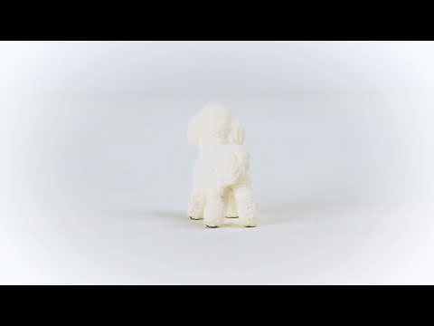 Schleich, Bichon Frise 13963