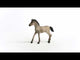 Schleich, Criollo Definitivo Foal 13949