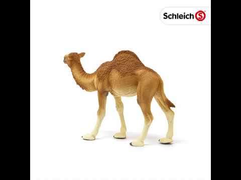 Schleich, Dromedary Camel 14832
