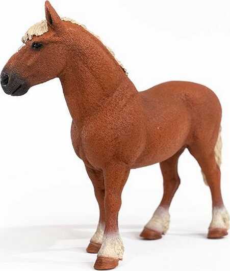 Belgian Draft Horse