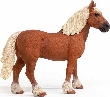 Belgian Draft Horse