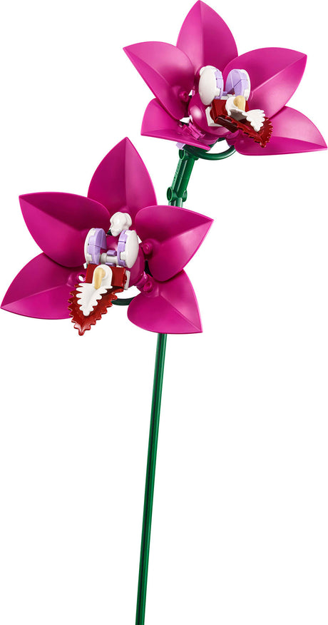 LEGO BOTANICALS Pretty Pink Flower Bouquet
