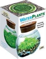 WaterPlants - Create Your Own Aquascape